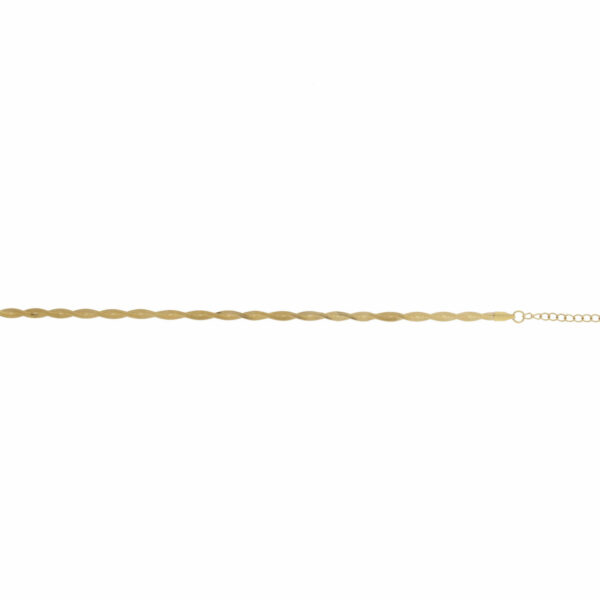 Αλυσίδα ποδιού Stainless Steel χρυσή διπλή πλεξούδα