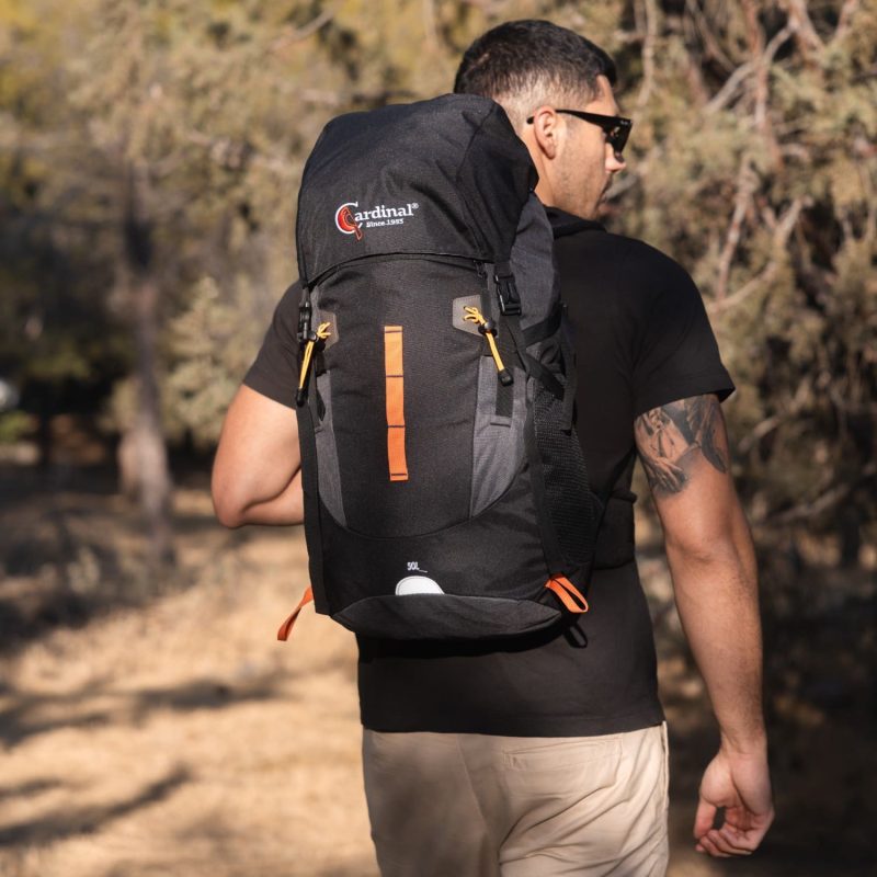 Σακίδιο πεζοπορίας, αδιάβροχο Daypack Cardinal 50L 790 μαύρο - Image 2